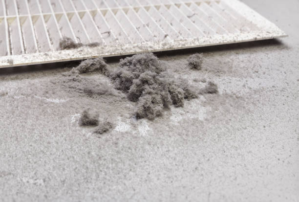 Best Home Air Vent Cleaning  in Santee, CA