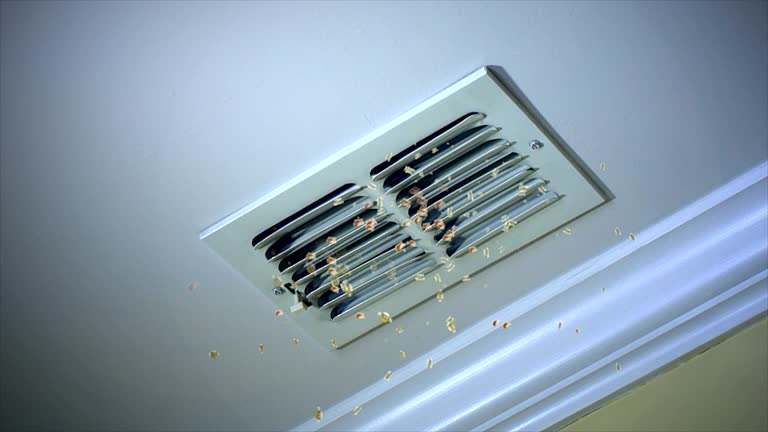 Ductwork Cleaning Services in Santee, CA