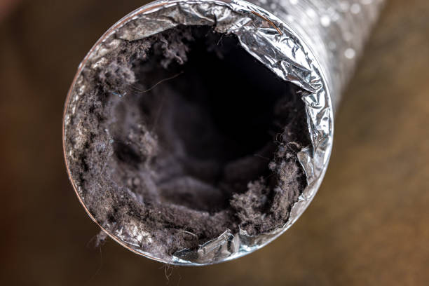 Best Local Air Duct Cleaning Services  in Santee, CA
